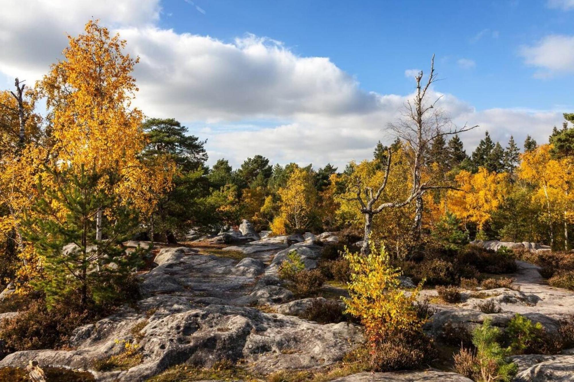 Vue Chateau Fontainebleau - Chez Lydia Zewnętrze zdjęcie